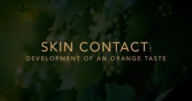 Skin Contact Wine