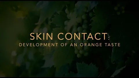 Skin Contact Wine